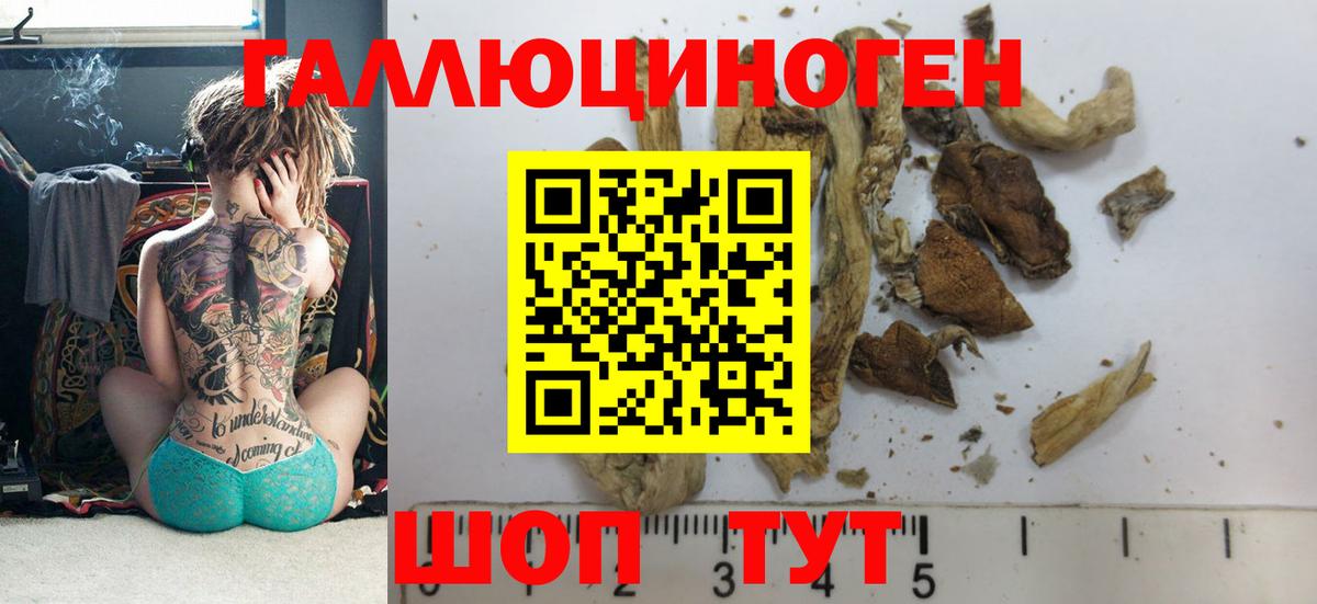 Балаково  Псилоцибиновые грибы мицелий  Галлюциногенные грибы MAGIC MUSHROOMS  Вход с VPN 